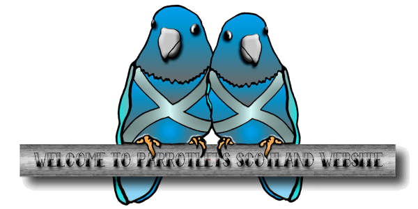 Welcome to Parrotlets Scotland.